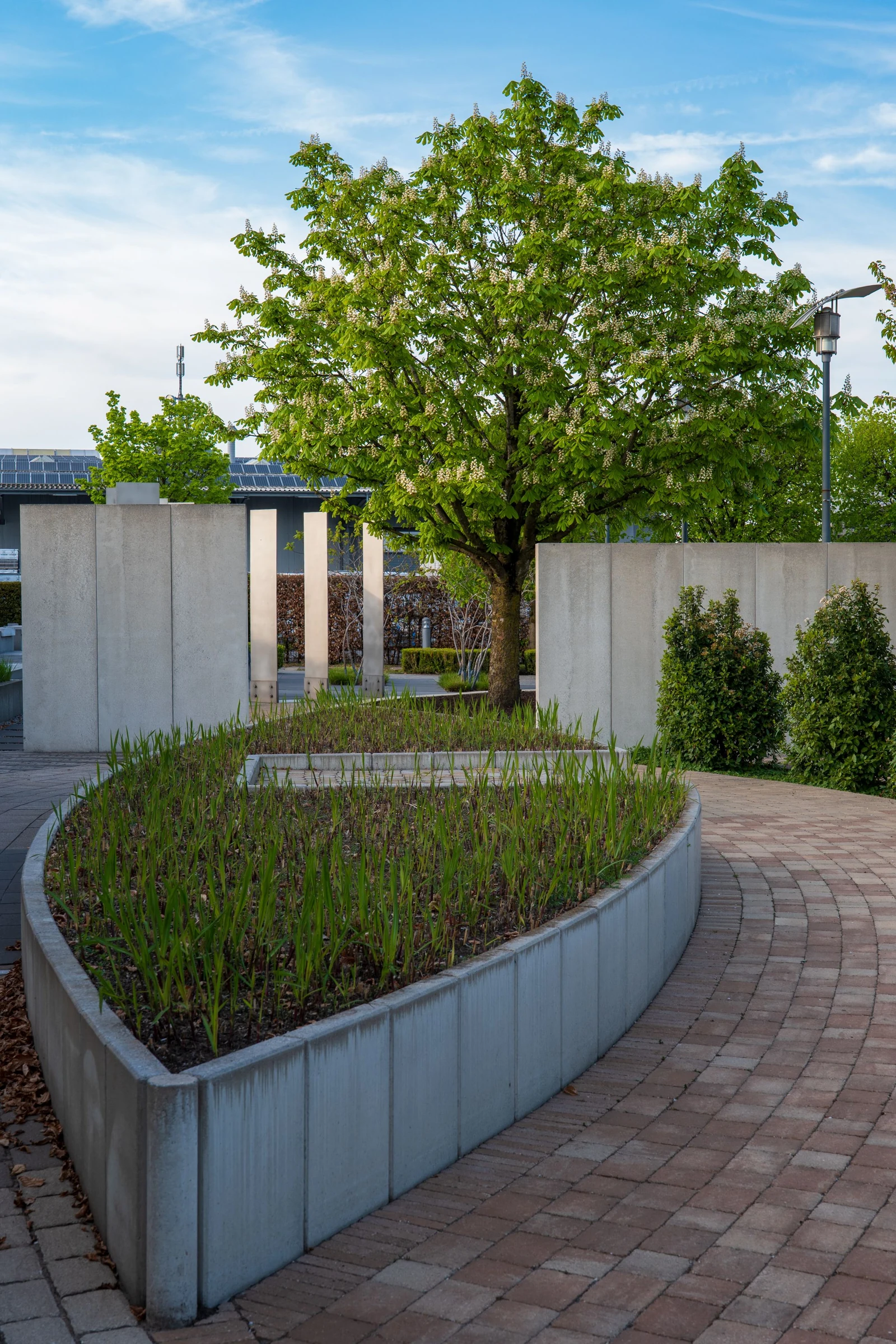 Contemporary garden with a curved pathway